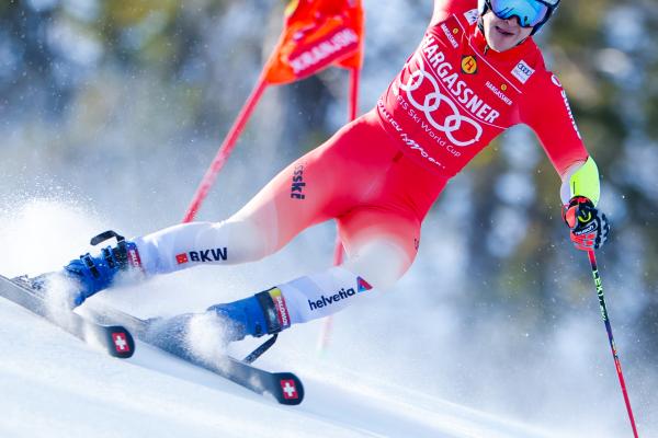 Veleslalom - 1 tek (Aleš Fevžer)