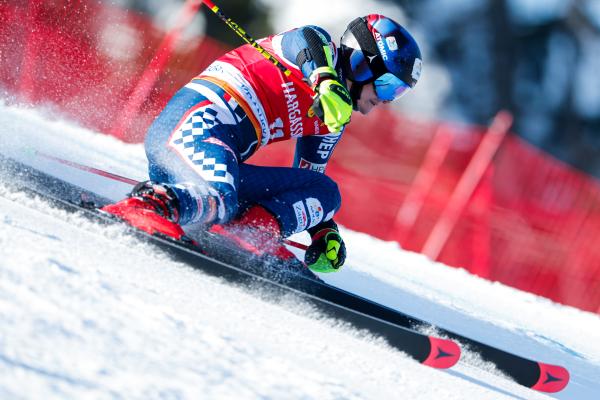 Giant Slalom - 1st run gallery 2 (Aleš Fevžer)